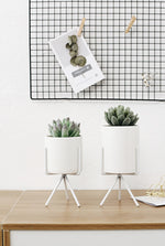 Potas - Pots de fleurs minimaliste en céramique - MODERNY